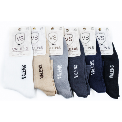 Носки мужские Валенс